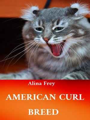 cover image of American Curl Breed